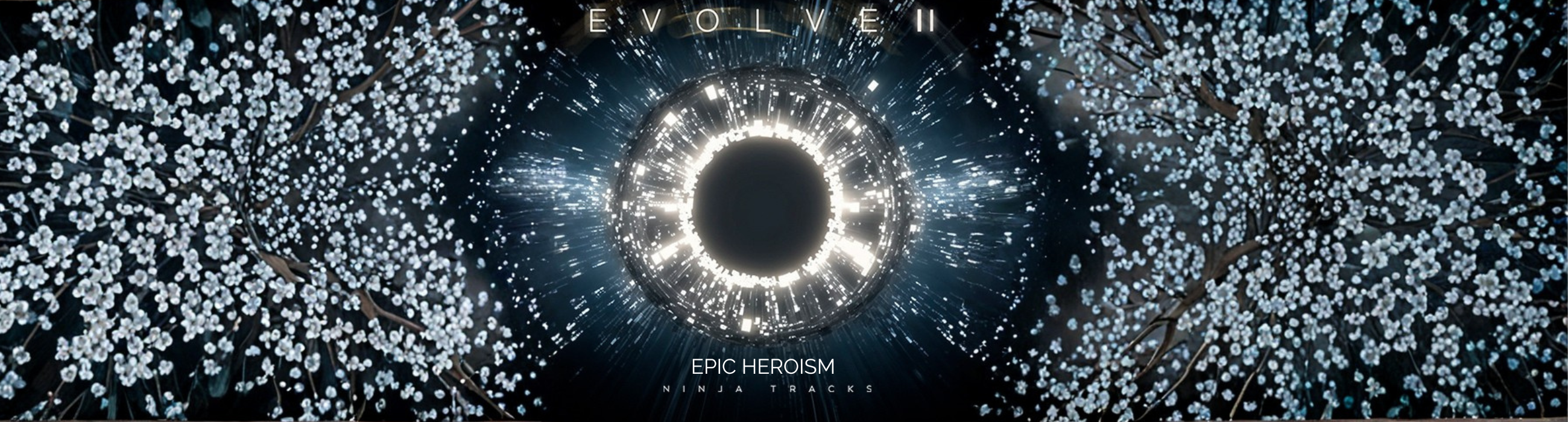 Ninja - Evolve II